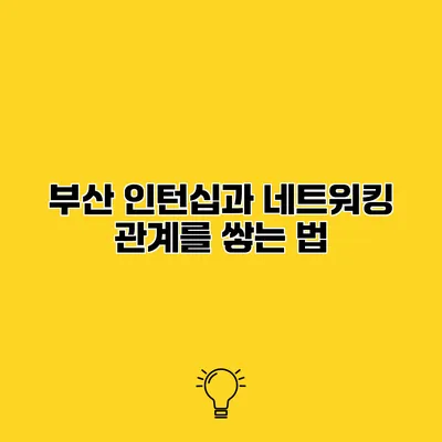 부산 인턴십과 네트워킹 관계를 쌓는 법