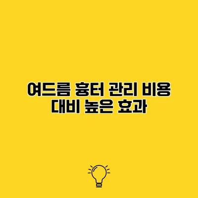 여드름 흉터 관리 비용 대비 높은 효과