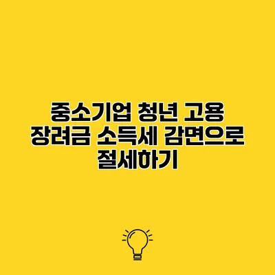 중소기업 청년 고용 장려금 소득세 감면으로 절세하기