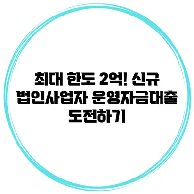 최대 한도 2억! 신규 법인사업자 운영자금대출 도전하기