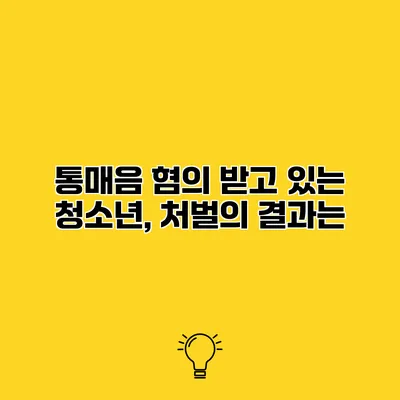 통매음 혐의 받고 있는 청소년, 처벌의 결과는?