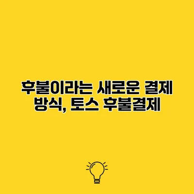 후불이라는 새로운 결제 방식, 토스 후불결제